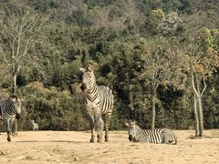 -杭州野生动物世界