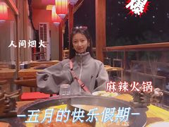 -杨家火锅(国美店)