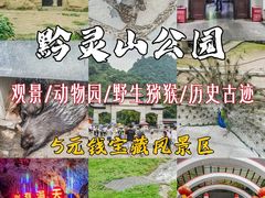 -黔灵山公园