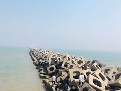 -东疆建设开发纪念公园
