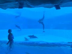 -横琴湾水世界