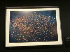 -罗红摄影艺术馆