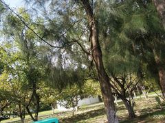 -乌石塘景区
