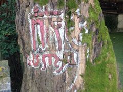 iphone_upload_pic-旅马餐厅(茅家埠店)