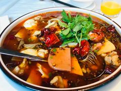 椒麻鸡-春暖花开(西溪店)