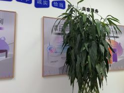 -天津伊美尔医疗整形美容专科医院
