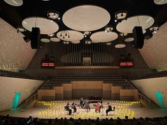 -福州海峡文化艺术中心