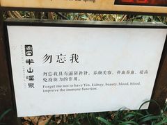 -天目湖涵田半山温泉