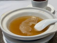 -新同乐鱼翅酒家(美丽华店)