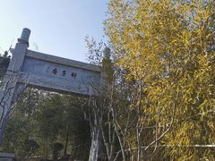 -竹子庵公园