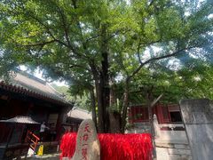 -红螺寺