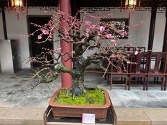 -豫园
