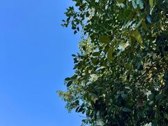 -刘伯温故里景区百丈漈