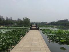 -前关湿地公园