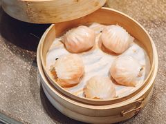 虾饺-潮乐轩