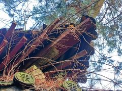 -青龙山国家森林公园
