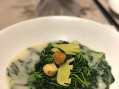 -翠府(翠湖北路店)