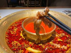 -哥老官重庆美蛙鱼头(日月光店)