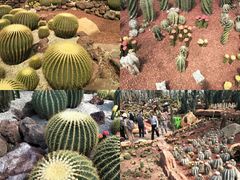 -南通洲际绿博园