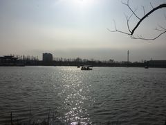 -上海长兴岛郊野公园