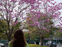 -东莞松山湖万象汇