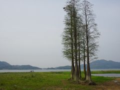 -四明湖