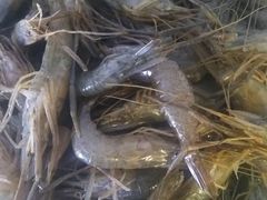 -兴隆海鲜菜馆