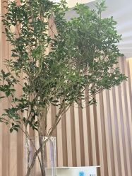 点击看大图 -LIHER北京丽合医疗美容医院