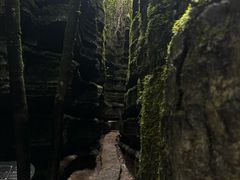 -梭布垭石林景区