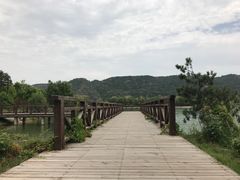 -函谷关历史文化旅游区