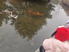 -白马涧龙池景区