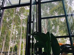-桉树林A coffee 森林餐厅(三圣乡店)
