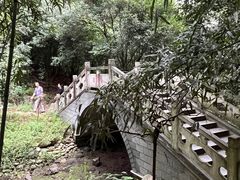 -潜山国家森林公园