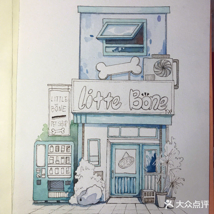 让愿望住进画册，我们的“圆梦”时刻到啦🥳