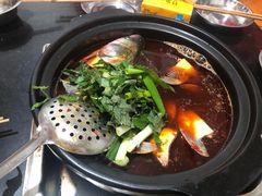 -老杨砂锅鱼庄