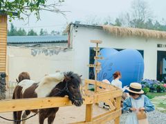 -HERRE·FARM 赫尔露营农场·团建聚会包场