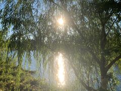 -西海子公园