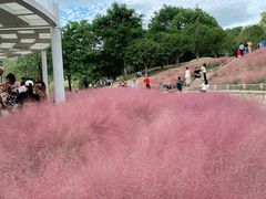 -牛岗山公园