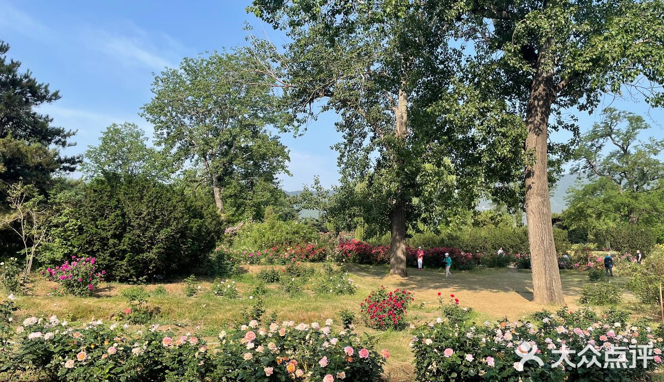北京植物园 门票五块钱，便宜哭了