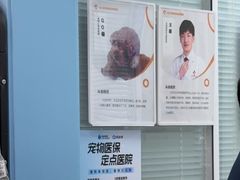 -全心全意连锁动物医院·微创中心·内科急重症·心脏专科(丰管路店)