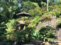 -南山植物园
