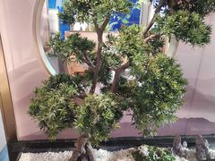 -马家斑.鲜鱼火锅(松湖万科店)