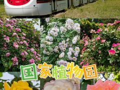 -国家植物园
