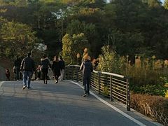 -飞凤山奥体公园