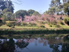 -南溪山景区