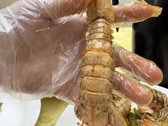 -阳江餐厅·26年老字号·粤菜海鲜大排档