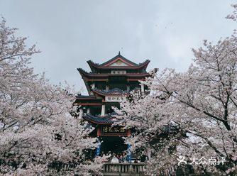 周末去鼋头渚转了转，上海出发到无锡站，乐游1号线可直