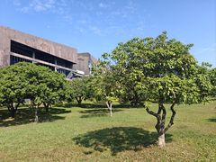 -东莞松山湖凯悦酒店