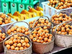 -塘栖枇杷特色园区