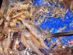 -亚马逊海鲜自助(梅溪湖步步高店)